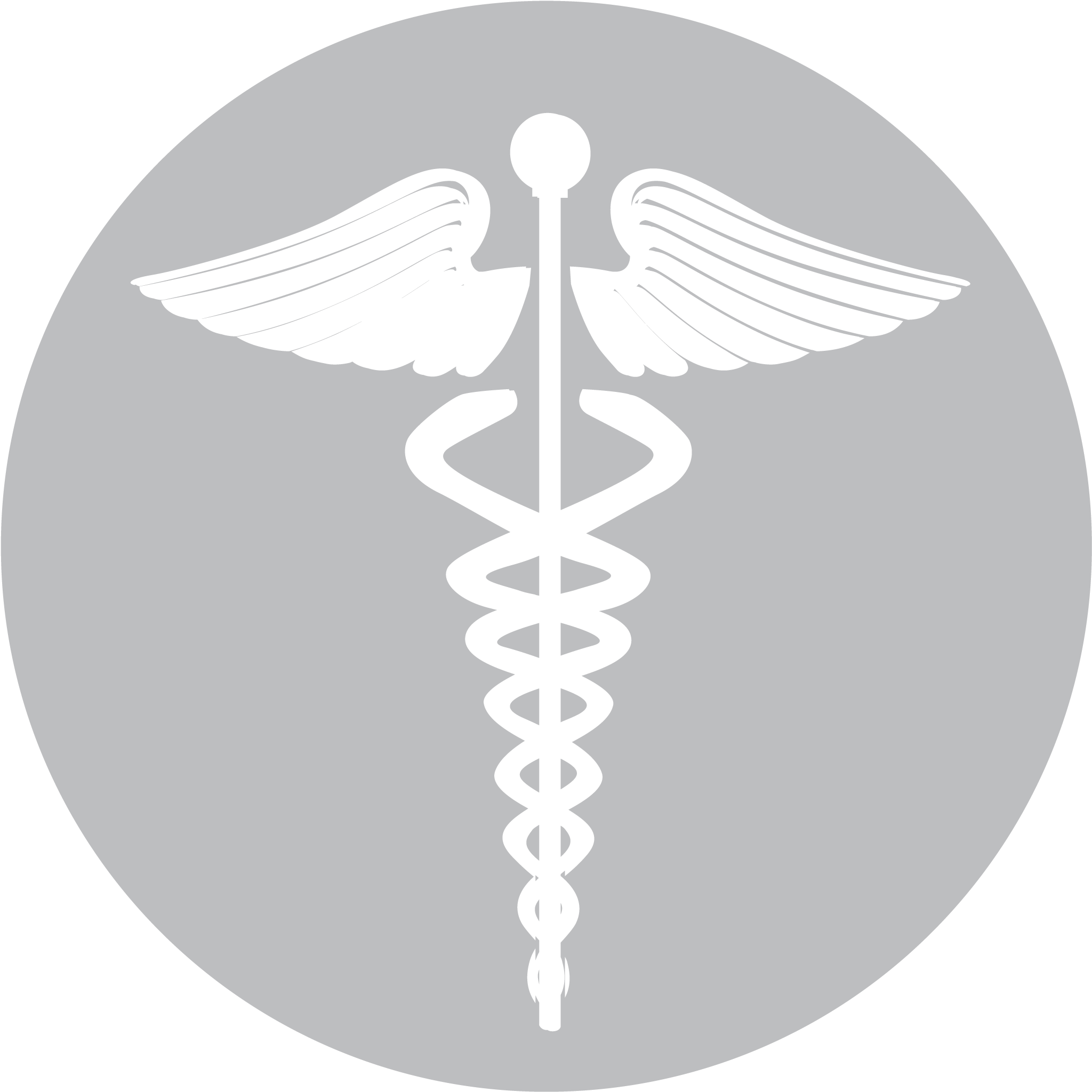 Icon Example - Green Medical Cross Logo (2083x2083), Png Download