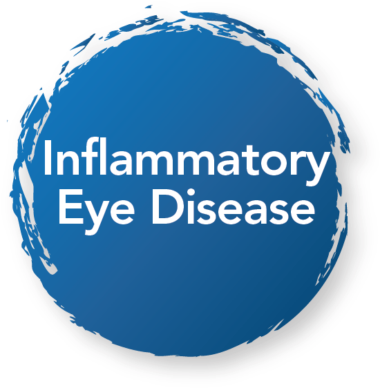 Blue Inflammatory Eye - Circle (572x585), Png Download