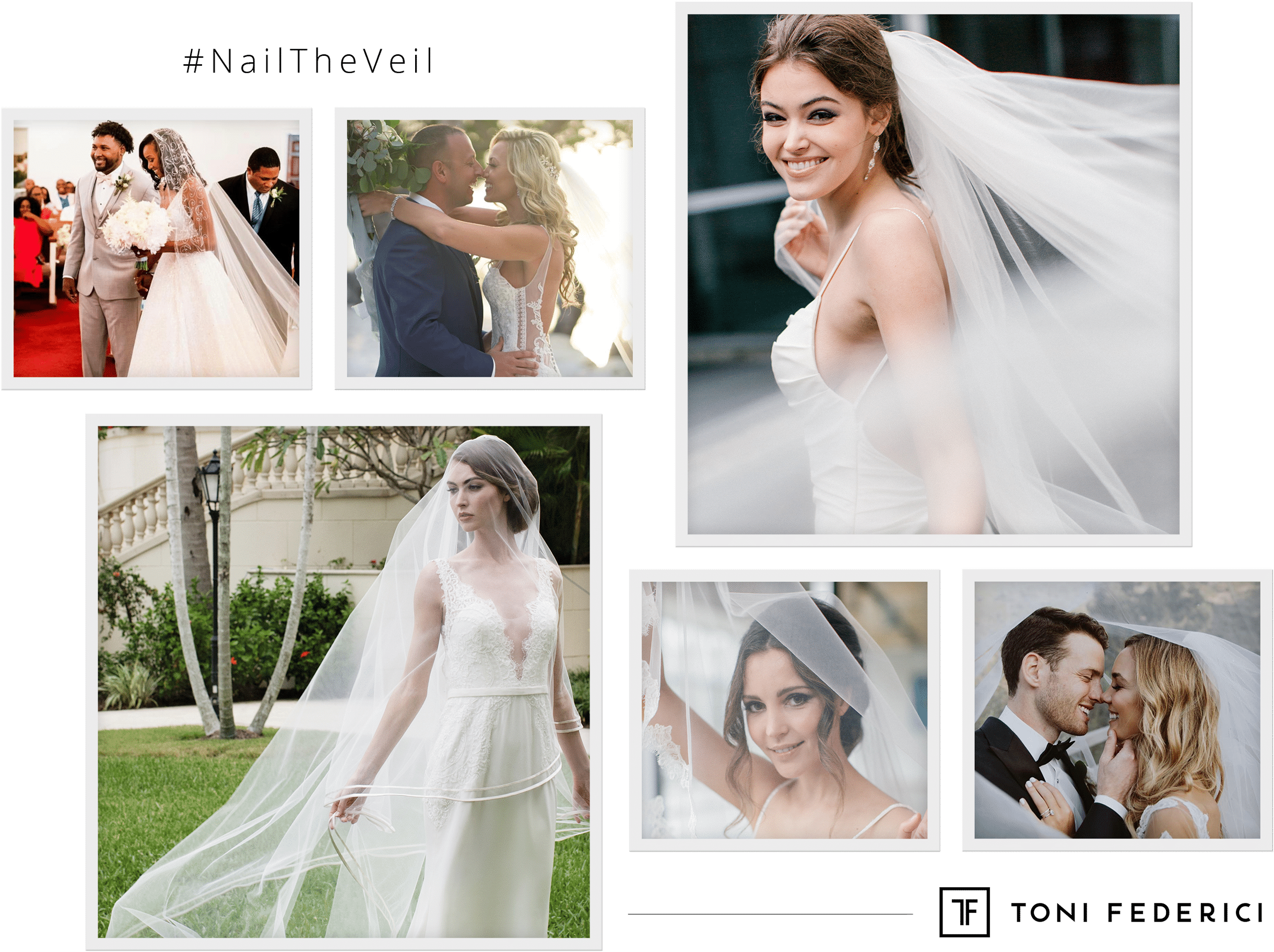 See The Entire Collection → - Veil (2500x1924), Png Download