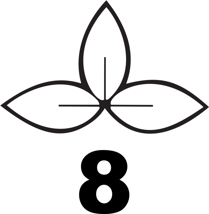 Can I Put A Clothes Line Or Dog Run On My Tree Arborsmith, (1000x1000), Png Download