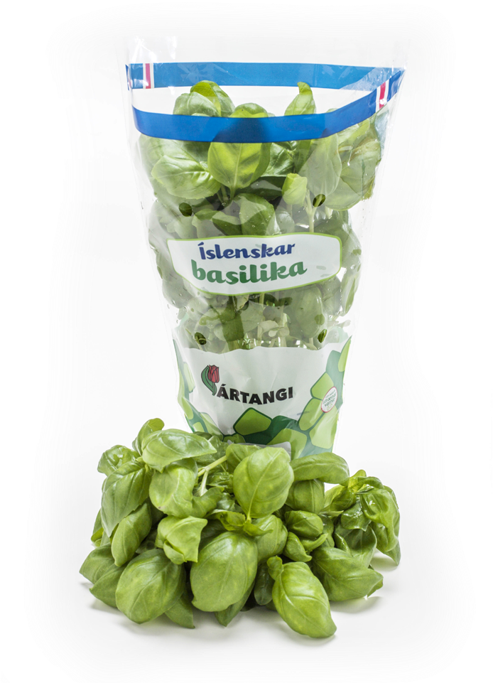 Basil - Basilika Grænmeti (1200x960), Png Download