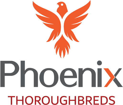 Phoenix Bird Png (613x607), Png Download