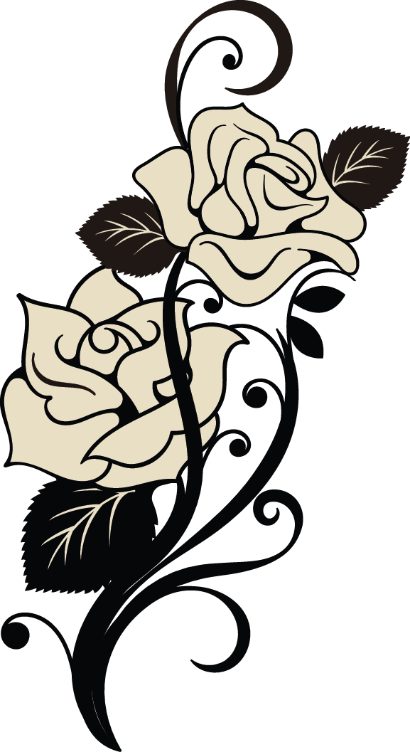 White Black Flower - Illustration (577x1057), Png Download