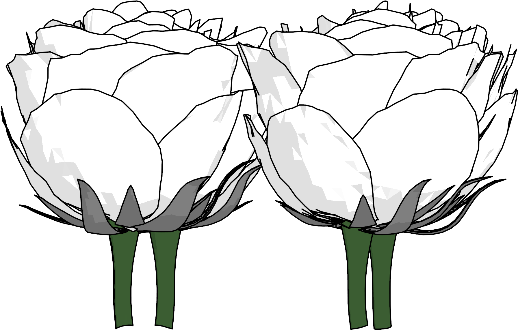 Flowers Png Clipart - Tulip (2000x1500), Png Download