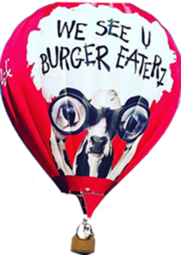 Balloon-png - Hot Air Balloon (600x845), Png Download