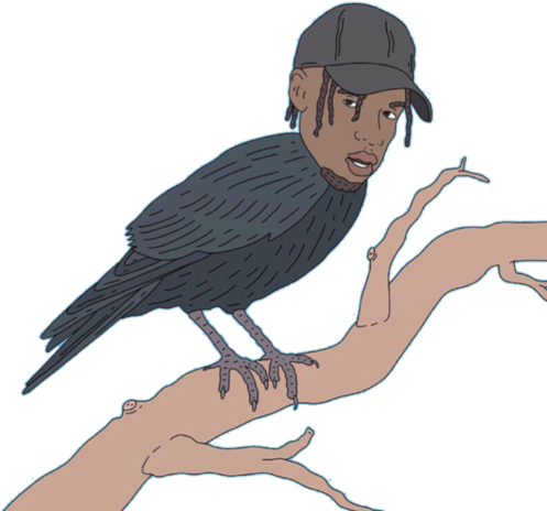 Bird Of Prey (500x890), Png Download