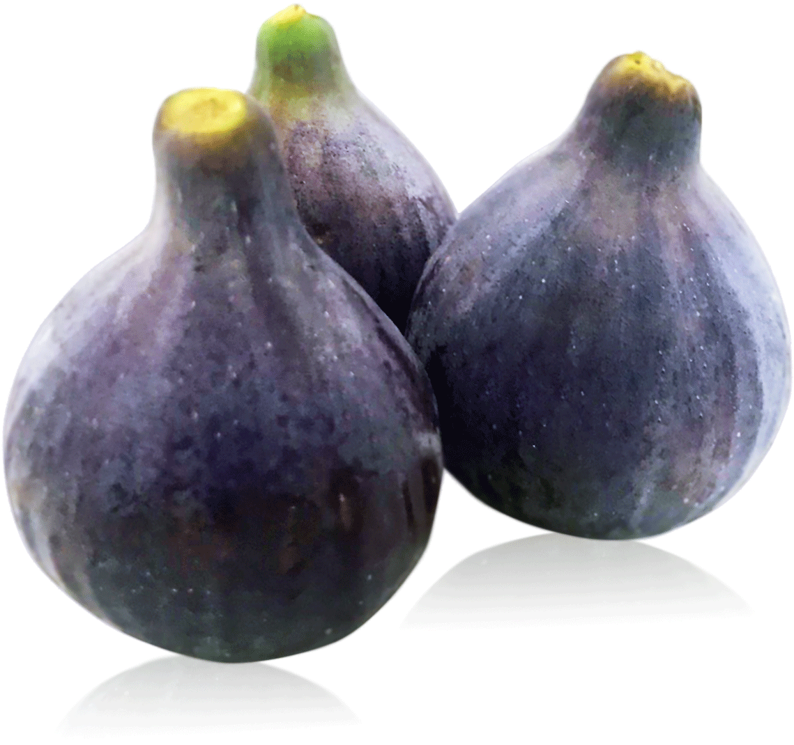 Higos Cuello De Dama Bio - Common Fig (1319x1319), Png Download