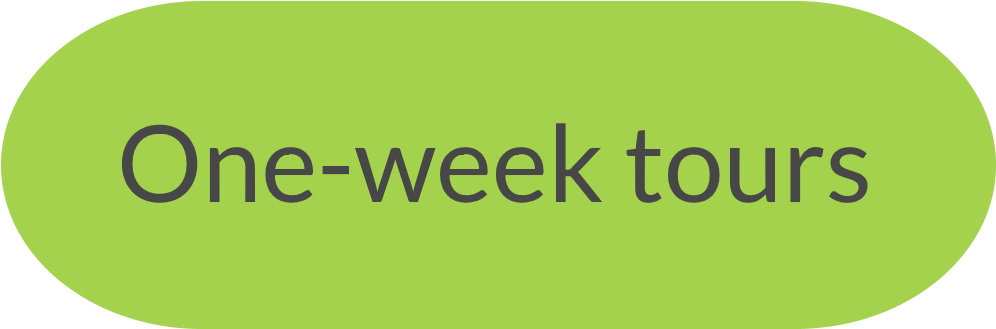 Contact Us - Parallel (1041x374), Png Download