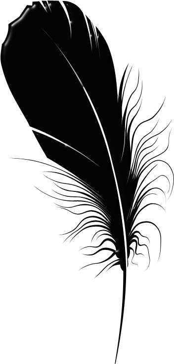 Please Follow And Like Us (400x800), Png Download