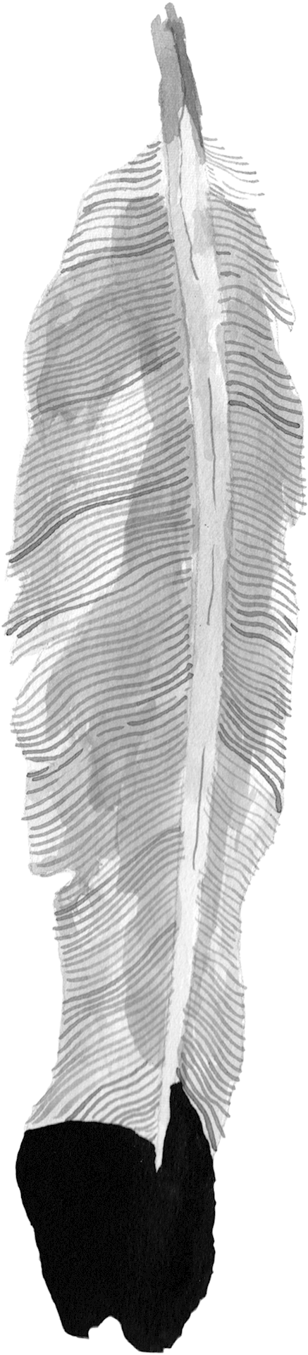 Layer6 - Illustration (1600x3333), Png Download