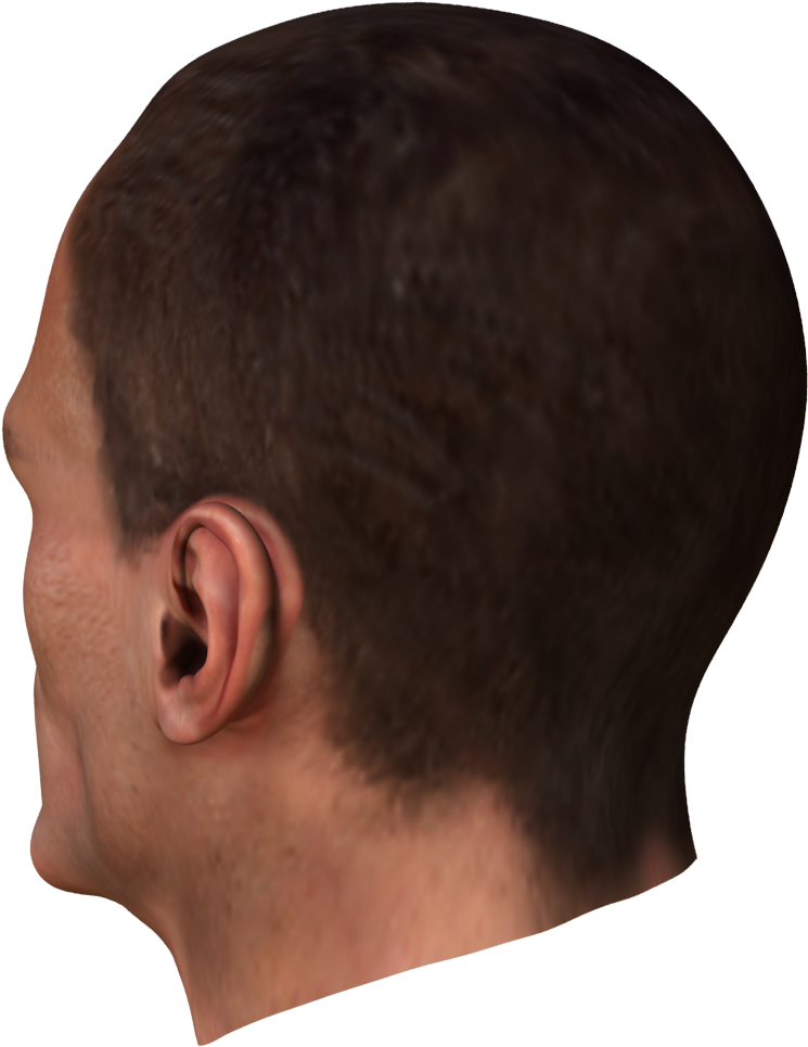 Face-22 - Crew Cut (1920x1080), Png Download