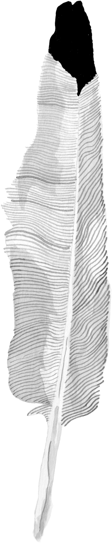 Layer5 - Monochrome (1600x3333), Png Download