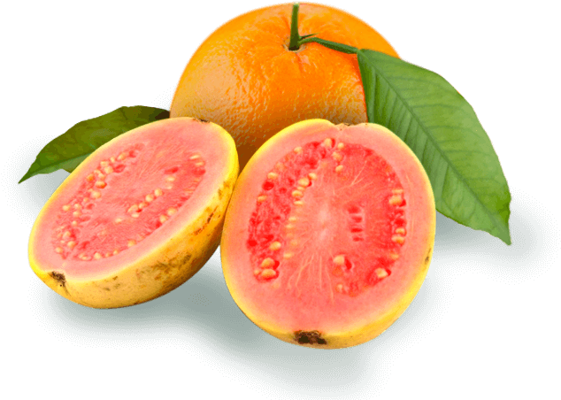 Encantar - Quả Đào (820x493), Png Download