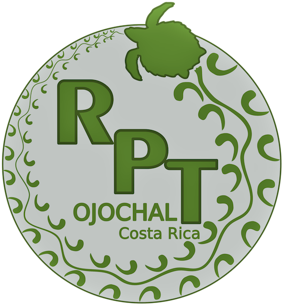 Reserva Playa Tortuga - Circle (600x645), Png Download