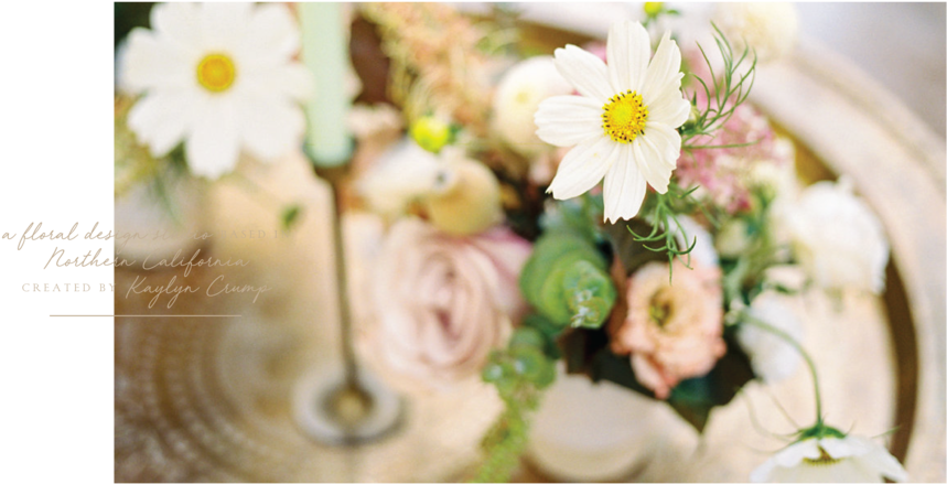 Willow & Magnolia Home Page Slider-03 - Daisy (1000x500), Png Download