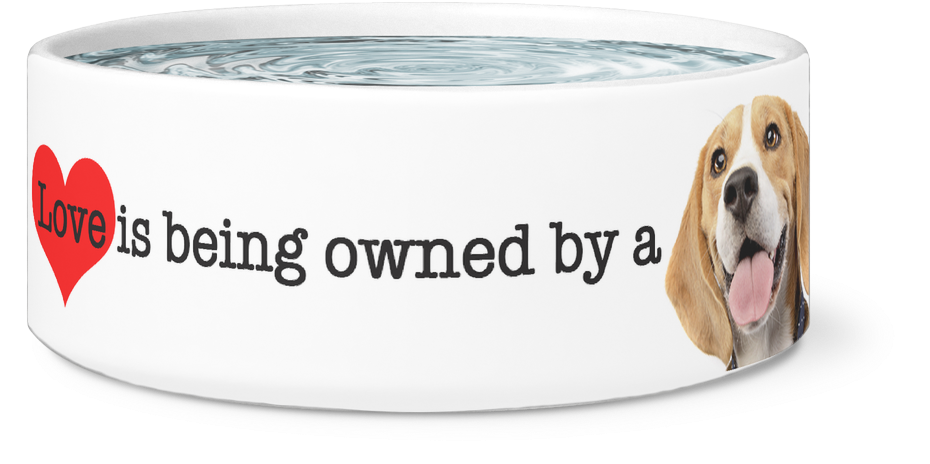 Large Dog Bowl, Love Is Being Owned By A Beagle, - Beagle (1024x1024), Png Download
