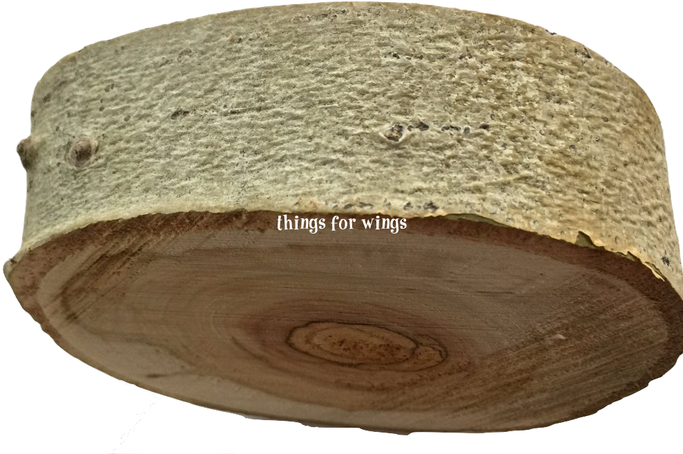 Aspen Platform 5" - Circle (988x665), Png Download