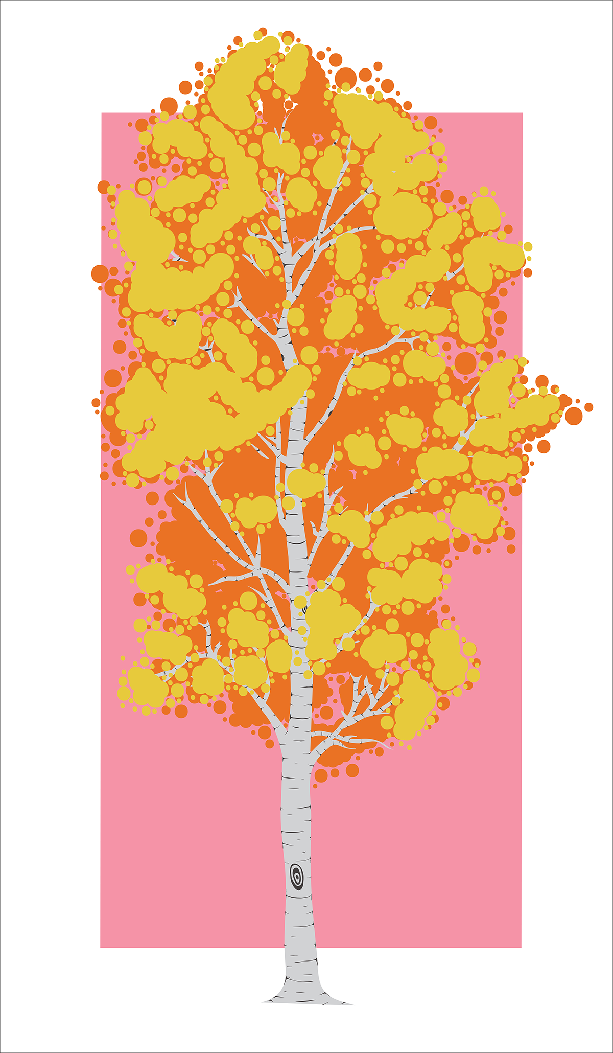 Aspen Pink - Plane-tree Family (1200x2060), Png Download
