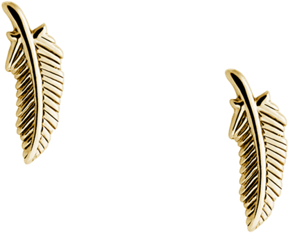 Feather Studs Image - Earrings (939x1024), Png Download