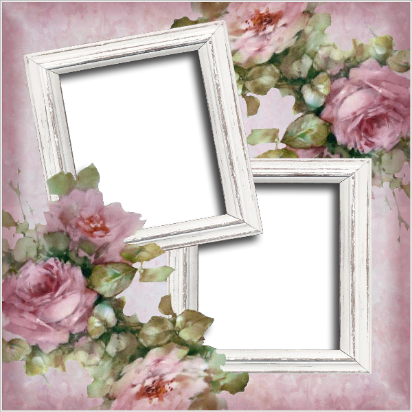 Nm Moldura 22 02 - Garden Roses (600x600), Png Download