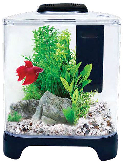 Betta Haven Acrylic Tank 7 Litres - Aqua One Pico (503x671), Png Download