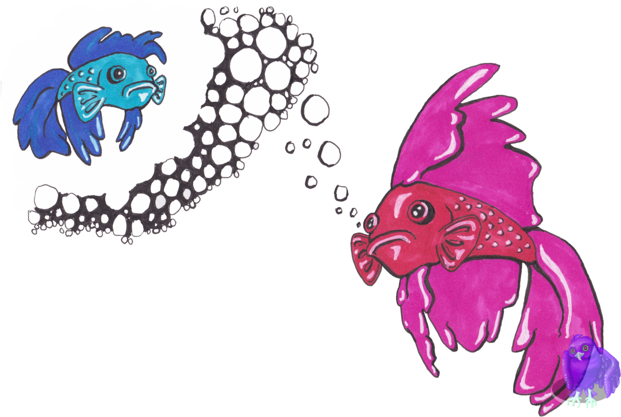 So Betta Fish Are My Favorite Fish - Illustration (1280x962), Png Download