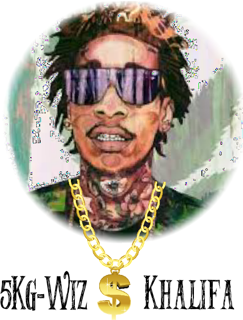 Model Image T Shirt - Wiz Khalifa Mp3 (495x717), Png Download