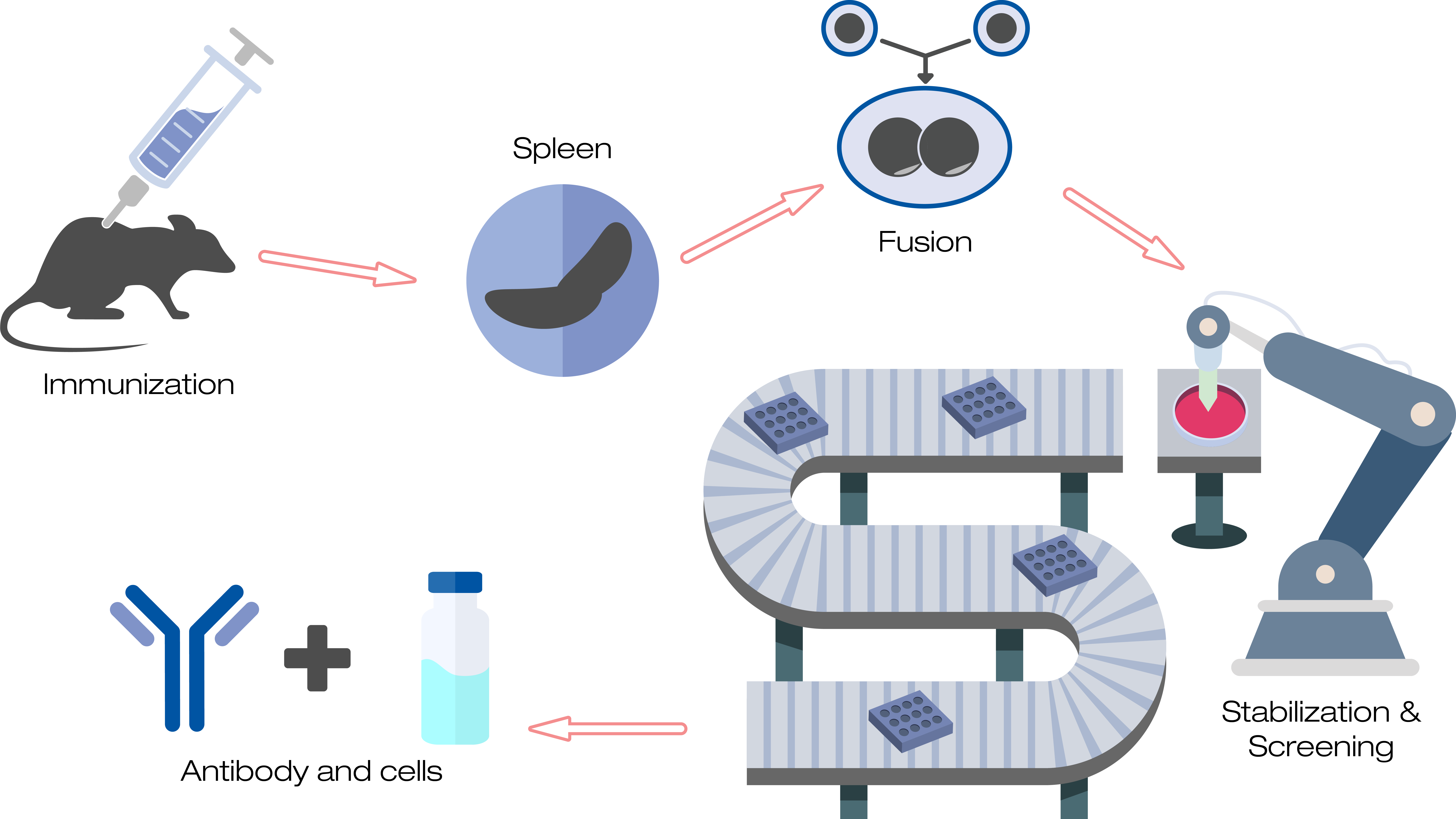 Monoclonal Diagram - Diagram (8000x4500), Png Download
