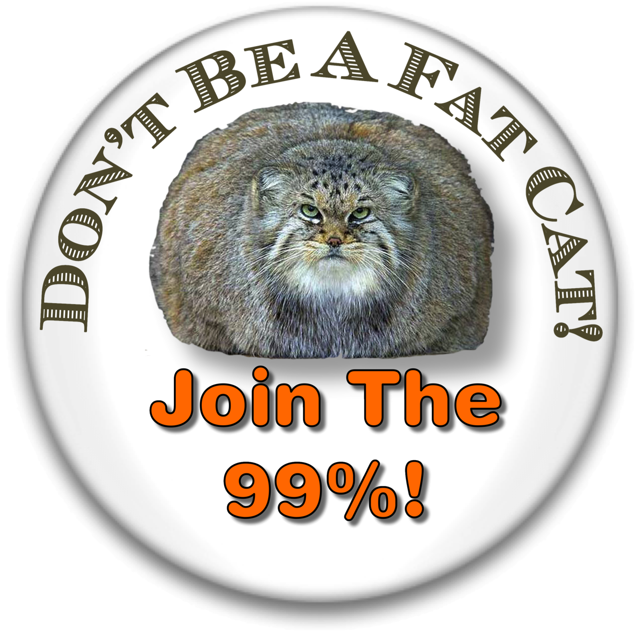 Fatcat Buttonpic - Pallas Cat (1280x1272), Png Download
