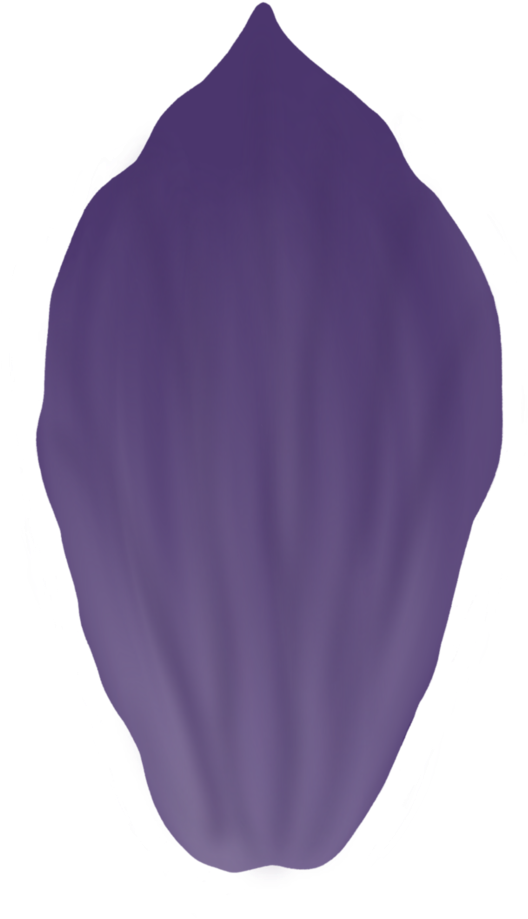 Png - Eggplant (1000x1000), Png Download
