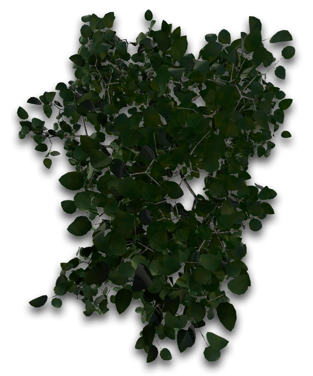 Tree 33 4eyes - Maidenhair Tree (1104x1275), Png Download