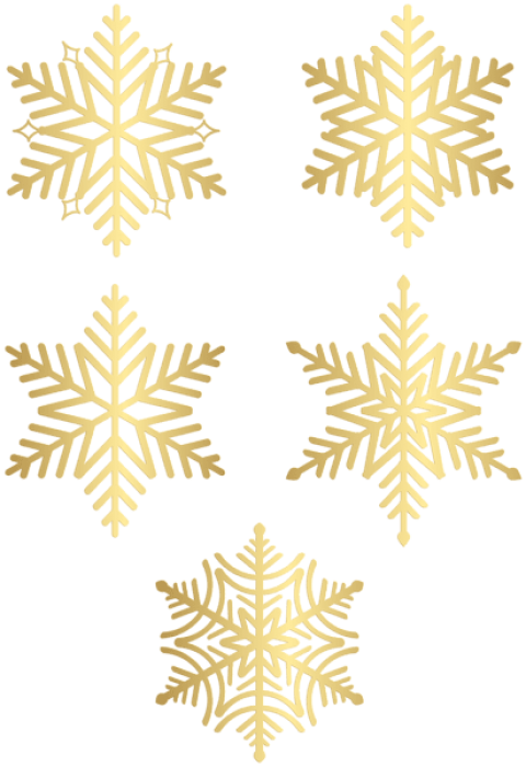 Free Png Snowflakes Golddeco Png - Motif (480x700), Png Download