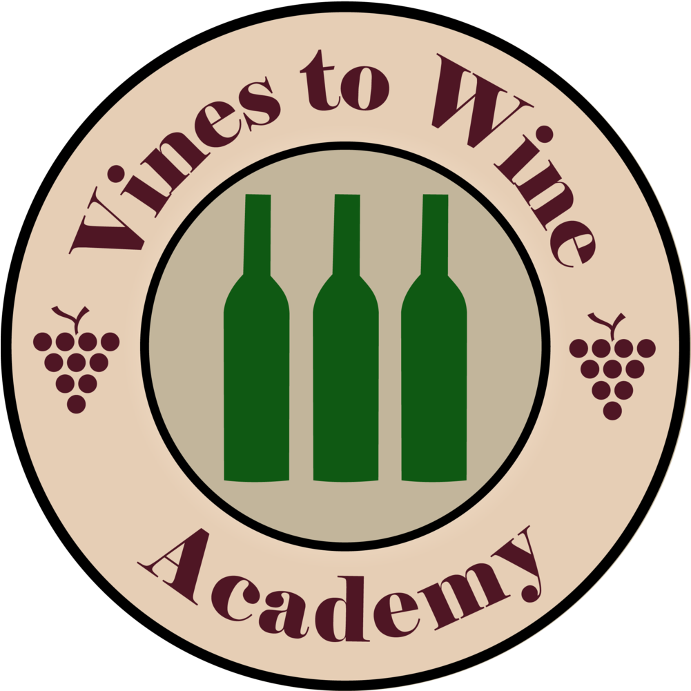 Green Vines Png (1000x1129), Png Download