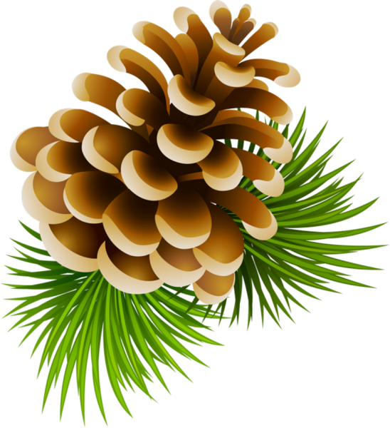 Pine Cone Clipart (548x600), Png Download