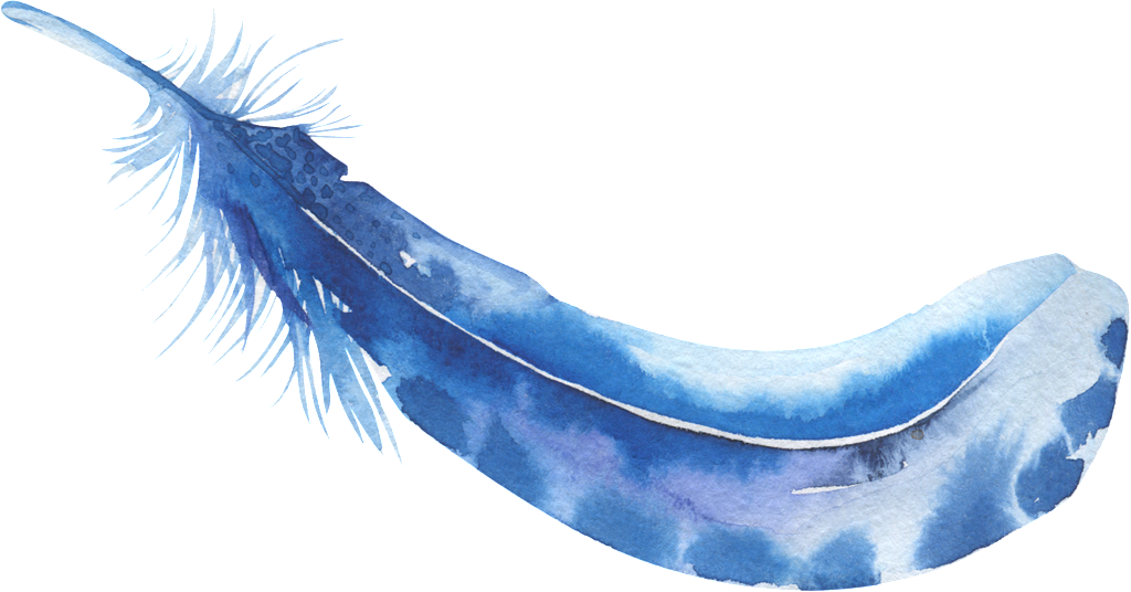 Aquamarine Feather Decorative Free Transparent Background - Feather (1024x536), Png Download