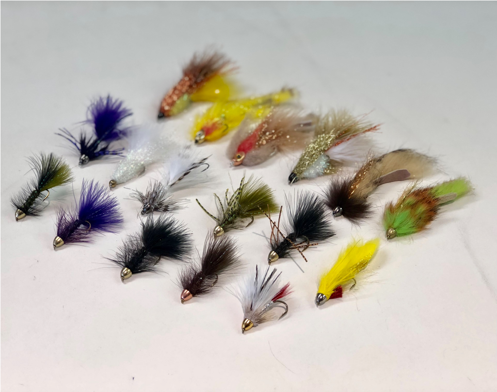 Bait Fish (1024x1024), Png Download