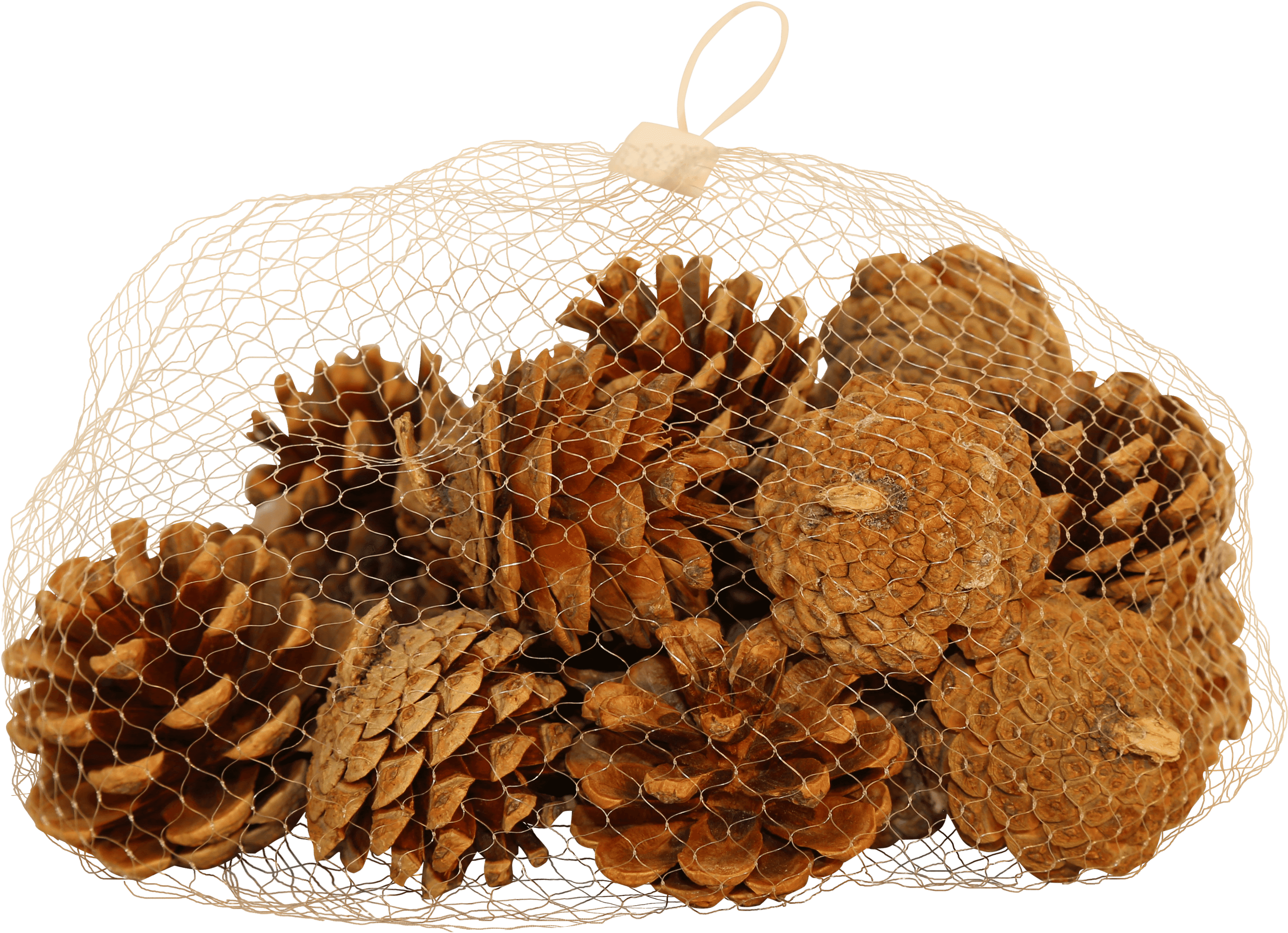 Natural Pine Cones - Fruit (3803x2757), Png Download