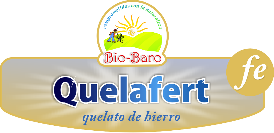 Quelatofe (931x453), Png Download