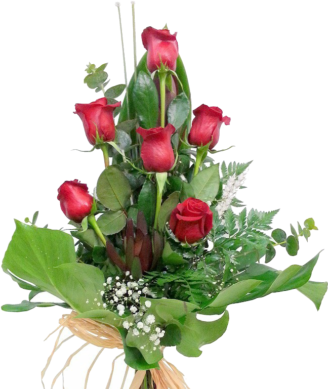 6 Rosas Rojas - Garden Roses (1024x768), Png Download
