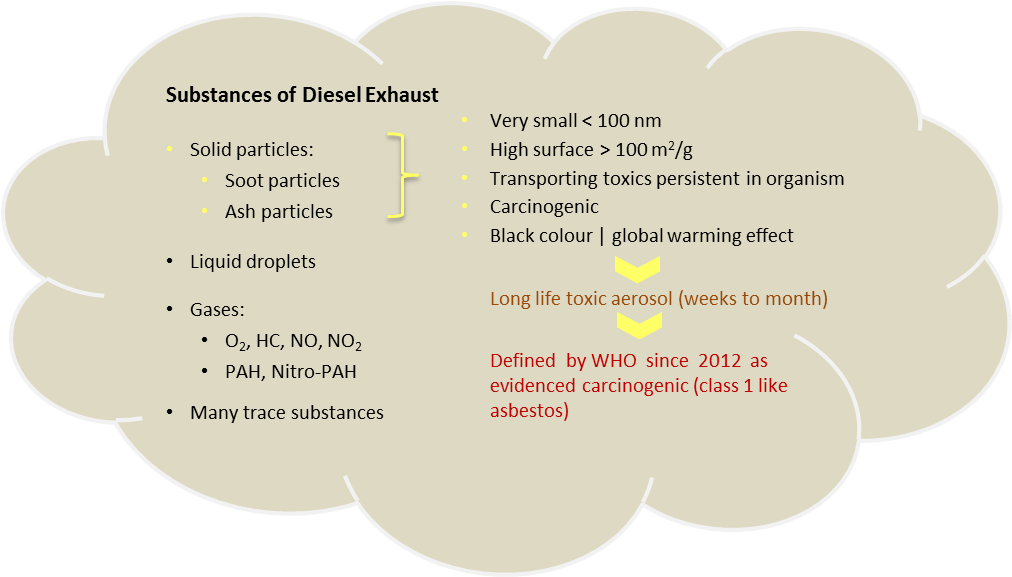 Adverse Health Effects Have Also Been Observed In The - Circle (1012x577), Png Download
