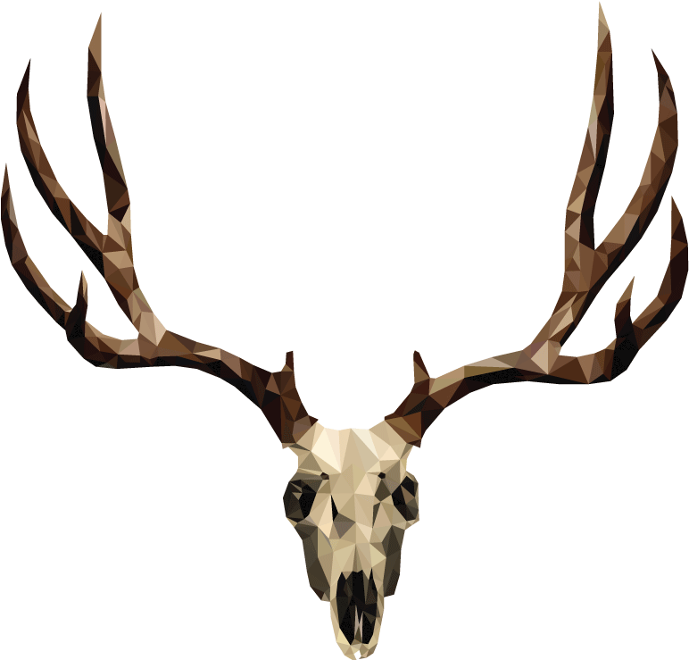 Mule Deer Skull Drawing - Mule Deer Skull Tattoo (772x739), Png Download