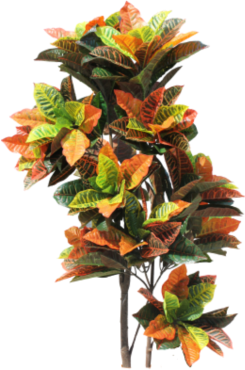 Indoorplant Sticker - Floral Design (1024x1024), Png Download