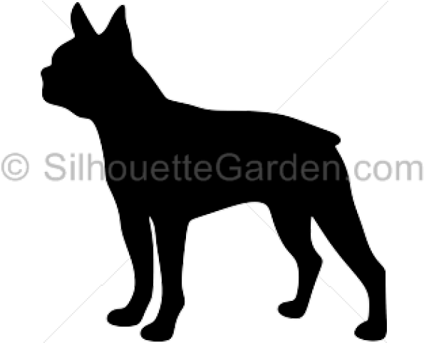 Dog (640x480), Png Download