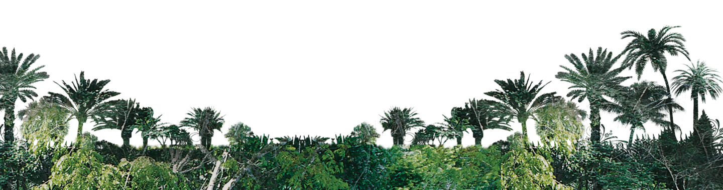 Bgplants - Peace And Love (1440x380), Png Download