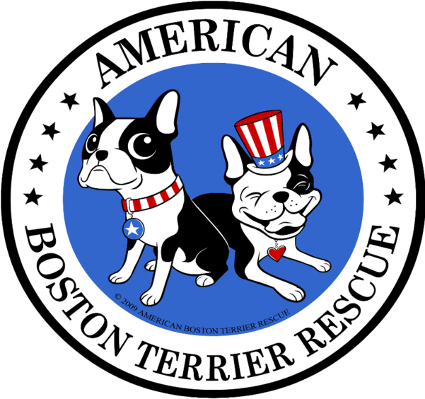 American Boston Terrier Rescue - Dept Of Education Wa (600x600), Png Download