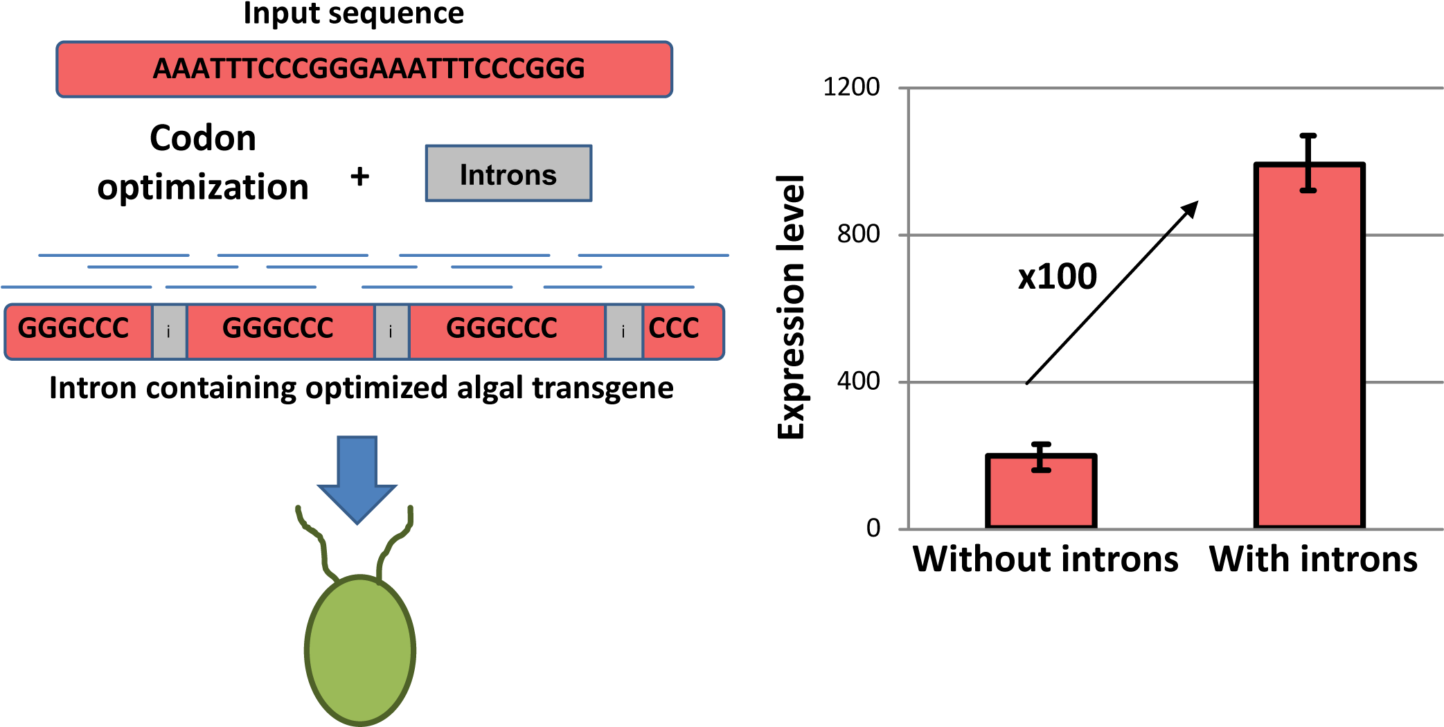 This Is A Significant Milestone For Algal Engineering, - Diagram (2142x1079), Png Download
