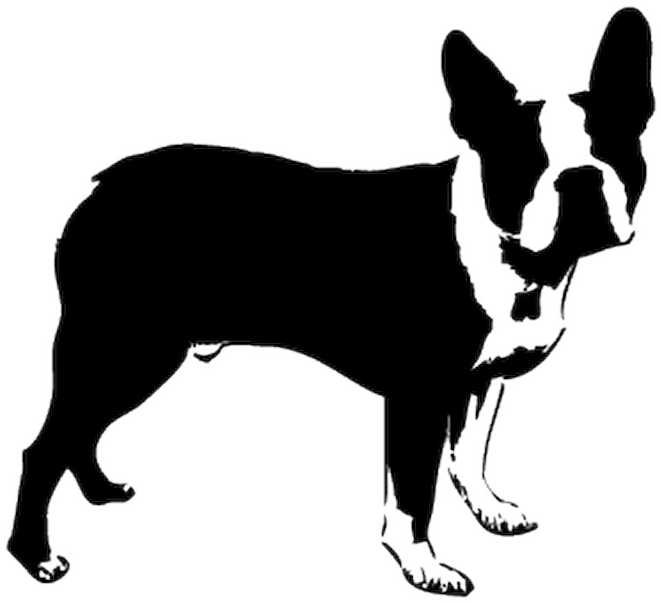 Download Boston Terrier Stencil PNG Image with No Background - PNGkey.com