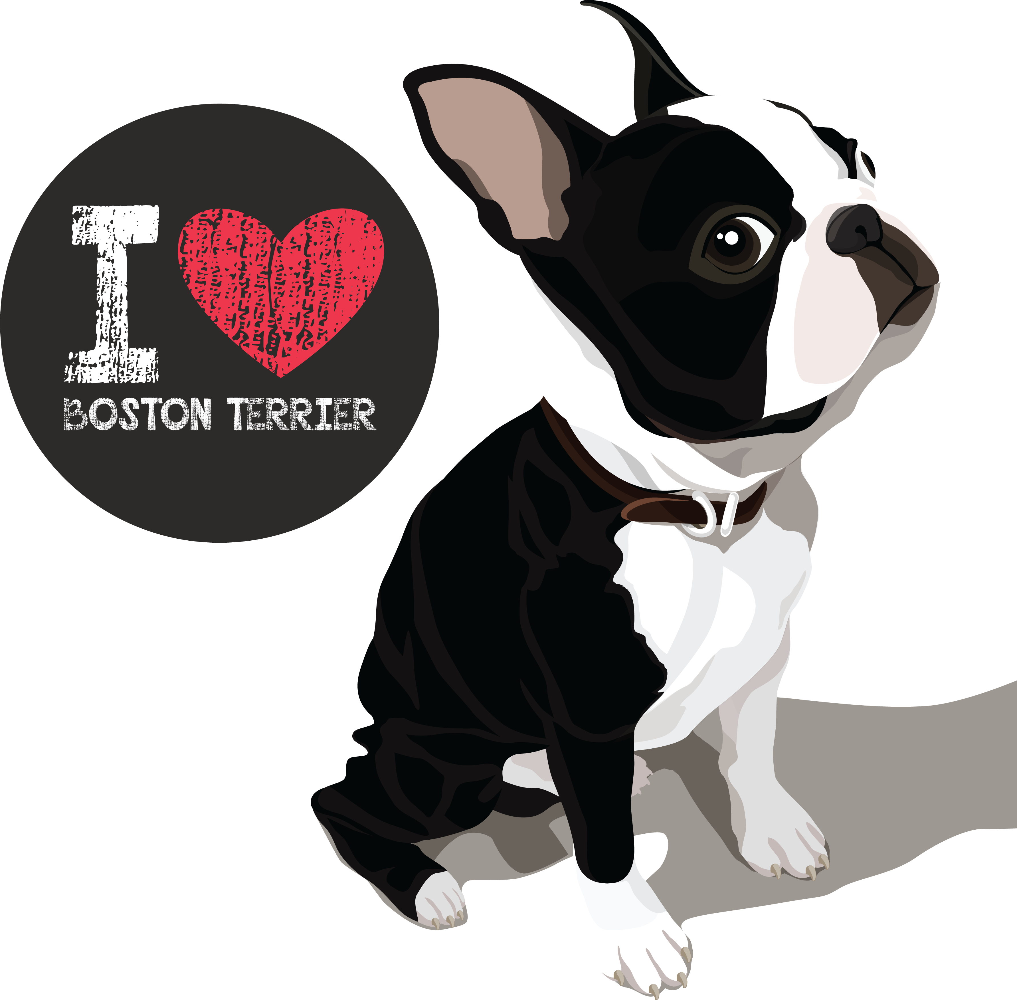 Teespring - Boston Terrier Vector (3565x3505), Png Download