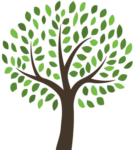 Leave A Reply Cancel Reply - Tree Illustration Free (800x566), Png Download
