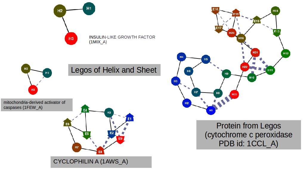 Proteins As Legos - Diagram (1020x573), Png Download